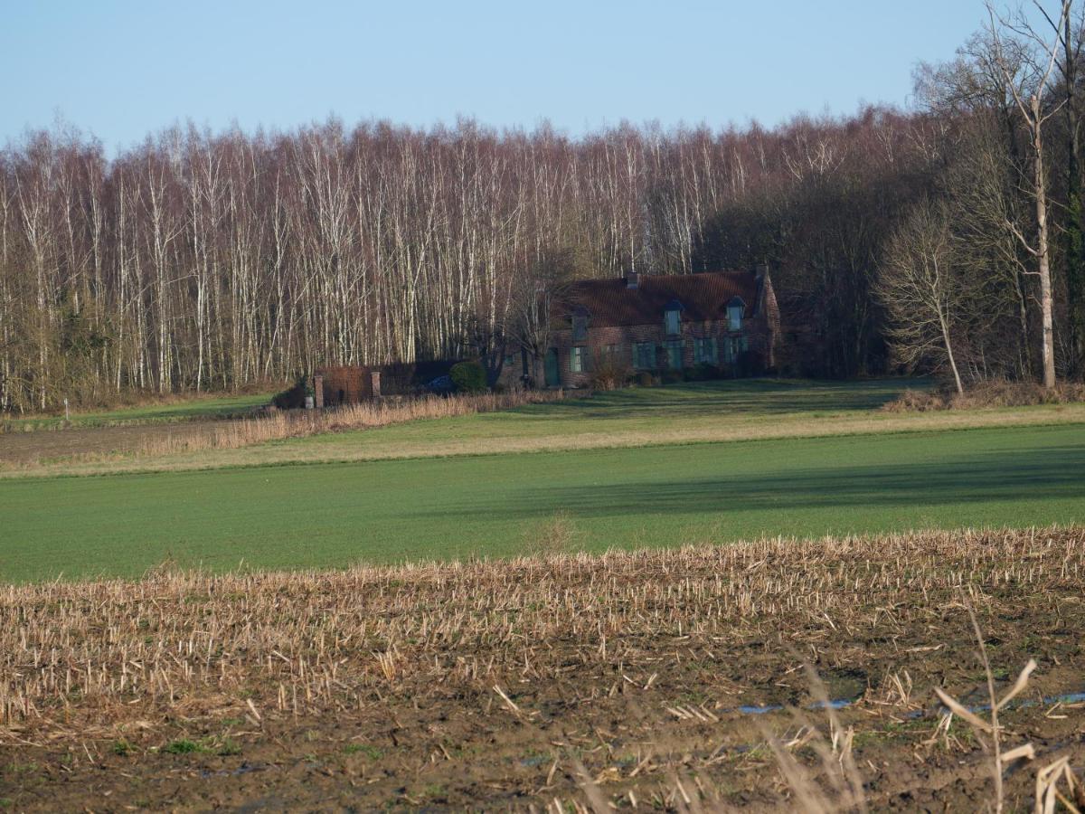 La Cabane Du Chasseur Flines-Les-Mortagne エクステリア 写真
